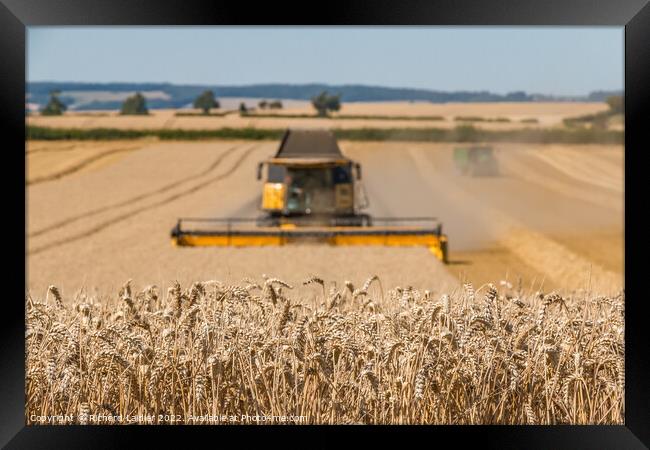 Wheat Harvest on Foxberry Aug 2022 (3) Framed Print by Richard Laidler