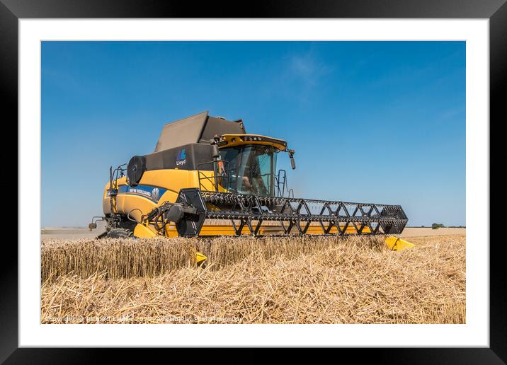 Wheat Harvest on Foxberry Aug 2022 (4) Framed Mounted Print by Richard Laidler