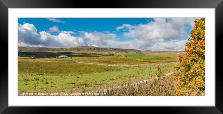 Cronkley Scar Panorama, Upper Teesdale  Framed Mounted Print by Richard Laidler