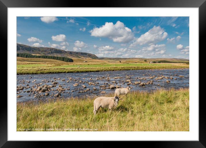 The Pennine Way at Cronkley, Teesdale (2) Framed Mounted Print by Richard Laidler