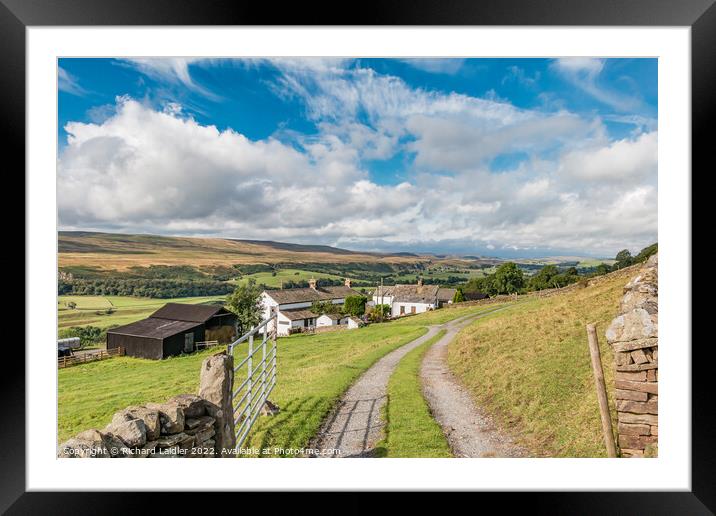 Arla Burn and West Farms, Teesdale Framed Mounted Print by Richard Laidler