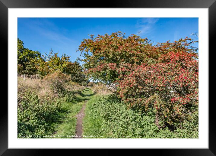 Tees Railway Walk at Mickleton (2) Framed Mounted Print by Richard Laidler