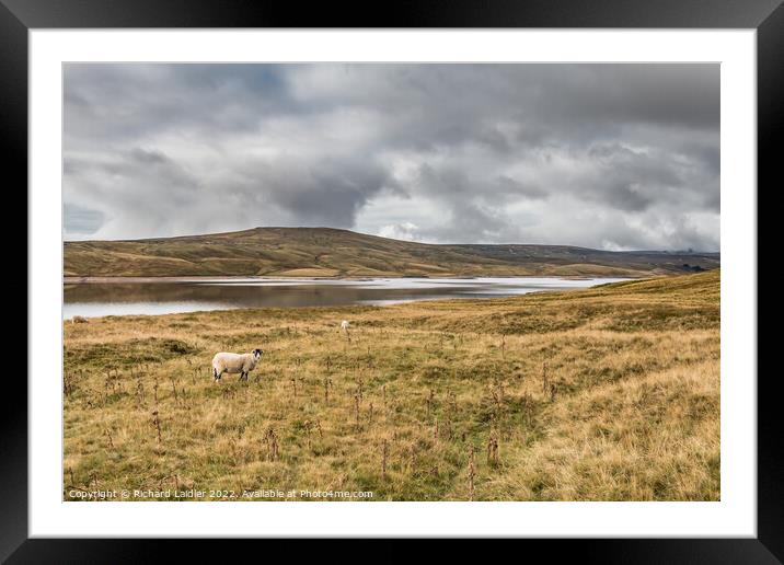 Meldon Hill and Cow Green Reservoir Framed Mounted Print by Richard Laidler