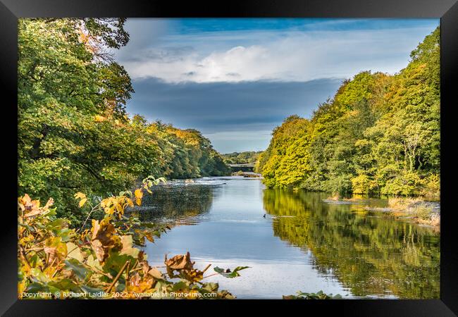 Autumn Tints at Wycliffe, Teesdale Framed Print by Richard Laidler