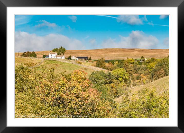 Ettersgill Autumn Tints Framed Mounted Print by Richard Laidler