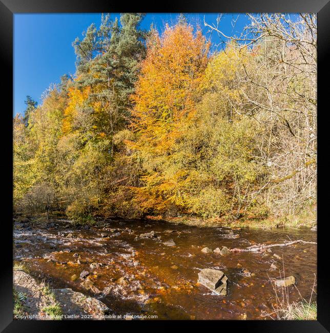 Autumn at Bow Lee Beck, Teesdale Framed Print by Richard Laidler