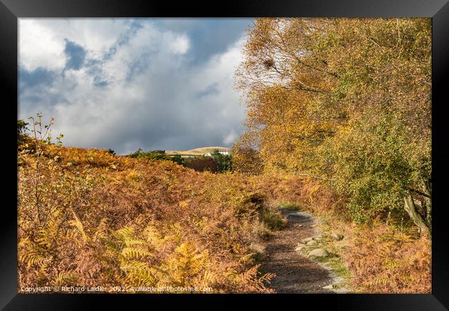 Autumn on the Pennine Way towards High Force, Teesdale  Framed Print by Richard Laidler