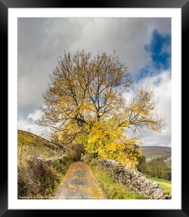 Lane near Gunnerside, Yorkshire Dales, in Autumn Framed Mounted Print by Richard Laidler