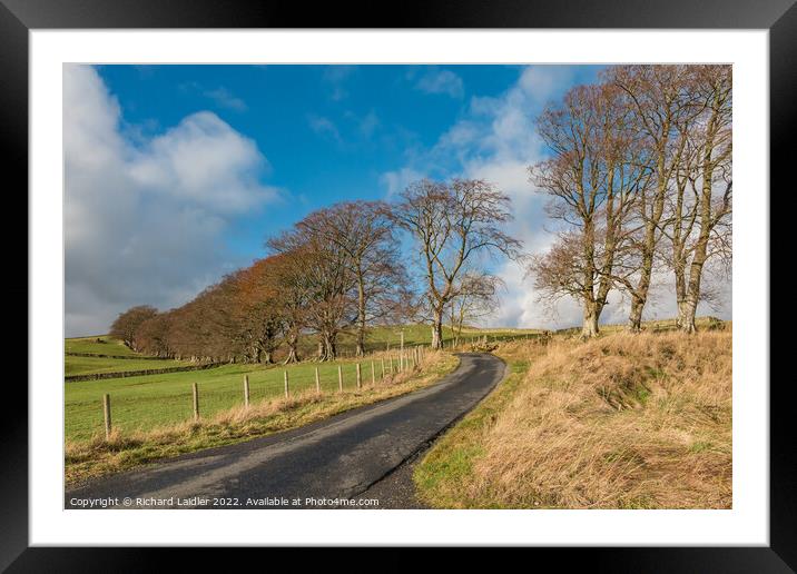 Up Into Ettersgill, Teesdale Framed Mounted Print by Richard Laidler
