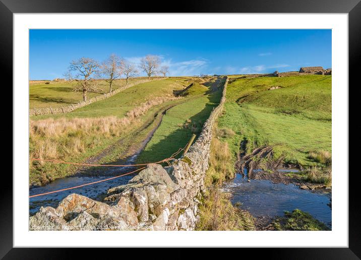 Tracks and Wall, Newbiggin, Upper Teesdale  Framed Mounted Print by Richard Laidler