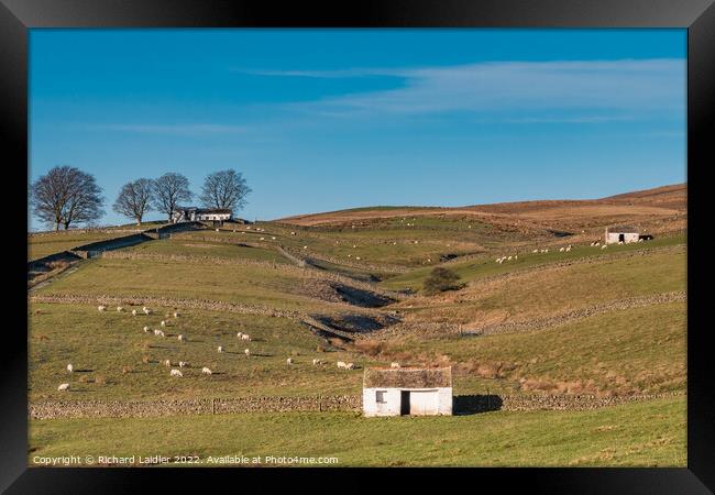 Three Bowlees Barns  Framed Print by Richard Laidler