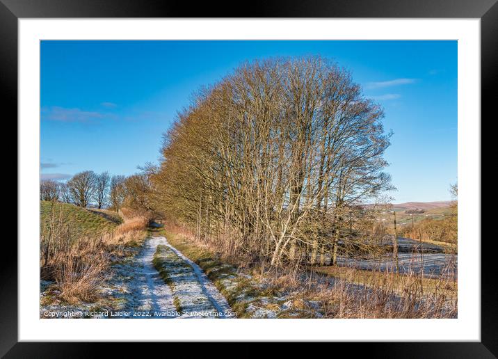 The Tees Railway Walk near Mickleton Framed Mounted Print by Richard Laidler