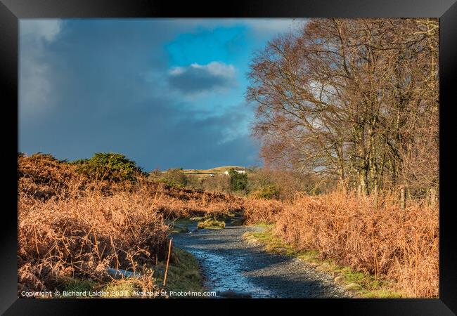 Winter Sun on the Pennine Way near High Force, Teesdale Framed Print by Richard Laidler