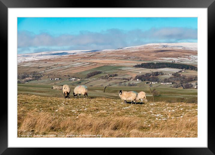 Towards Middle Side, Teesdale, from the Kelton Road Framed Mounted Print by Richard Laidler