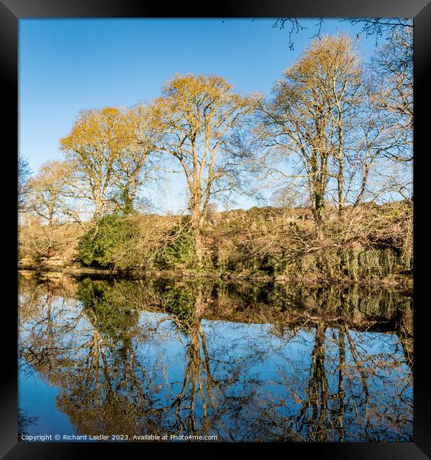 River Tees Winter Reflections Framed Print by Richard Laidler