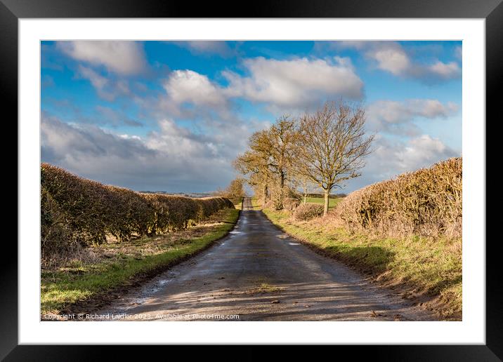 Green Lane Sunshine and Shadows Framed Mounted Print by Richard Laidler