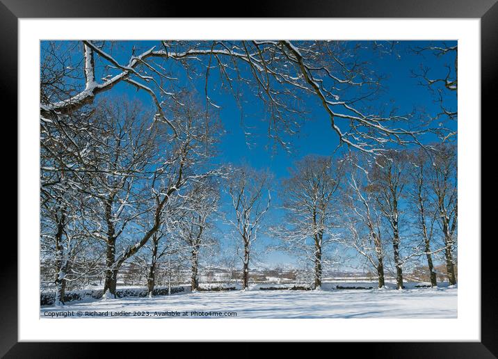 Winter Trees at Hutton Magna Framed Mounted Print by Richard Laidler