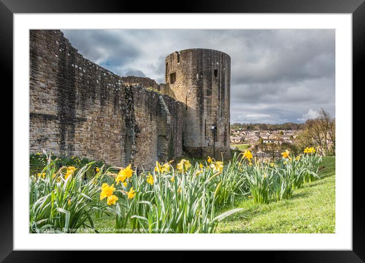 Barnard Castle ruins from Scar Top (3) Framed Mounted Print by Richard Laidler
