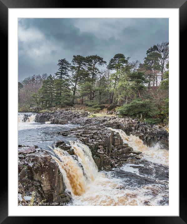 A Damp Day at Low Force Waterfall in Spring (1) Framed Mounted Print by Richard Laidler