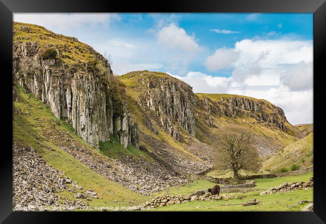 Holwick Scar, Teesdale (1) Framed Print by Richard Laidler