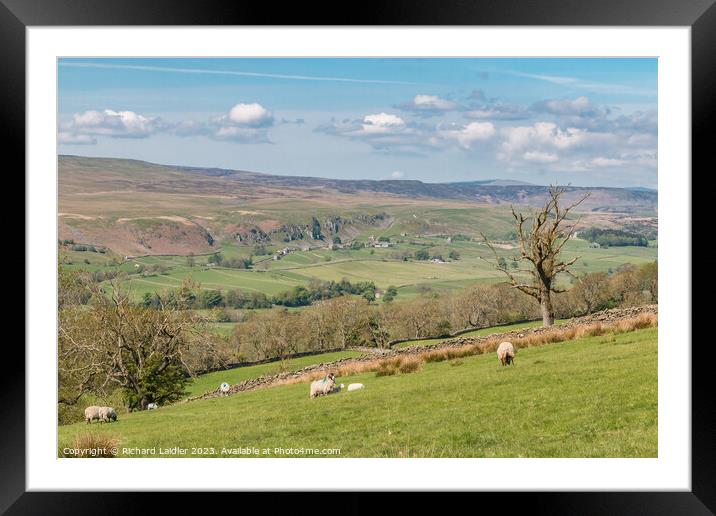 Spring Morning in Upper Teesdale (1) Framed Mounted Print by Richard Laidler