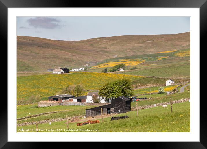 Spring Morning in Harwood Teesdale (1) Framed Mounted Print by Richard Laidler