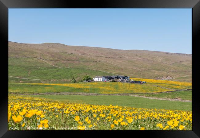 Spring Morning in Harwood Teesdale (3) Framed Print by Richard Laidler