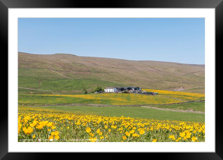 Spring Morning in Harwood Teesdale (3) Framed Mounted Print by Richard Laidler