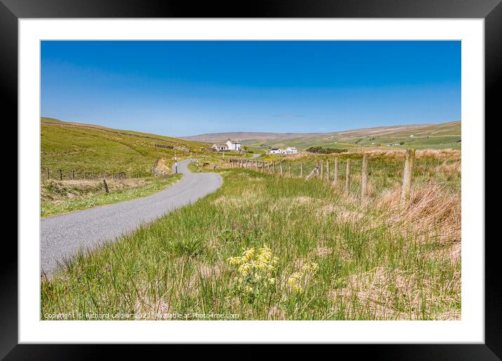 Honey Pot and Unthank, Harwood, Teesdale Framed Mounted Print by Richard Laidler