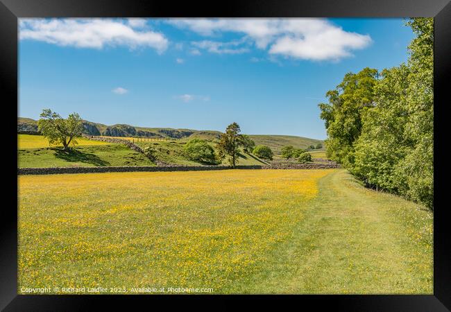 The Pennine Way near Holwick, Teesdale in Spring Framed Print by Richard Laidler