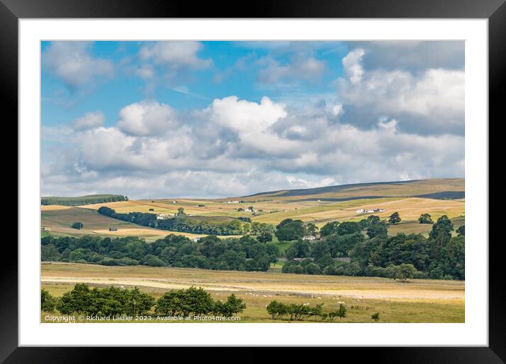 Summer Morning in Ettersgill from Holwick, Teesdale Framed Mounted Print by Richard Laidler