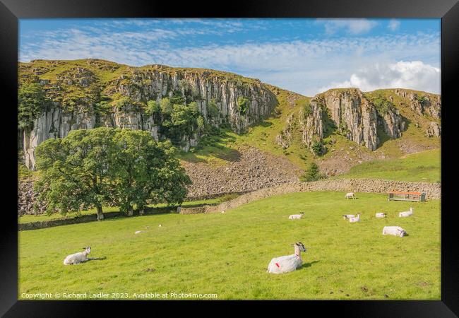 Summer Morning at Holwick Scar, Teesdale Framed Print by Richard Laidler