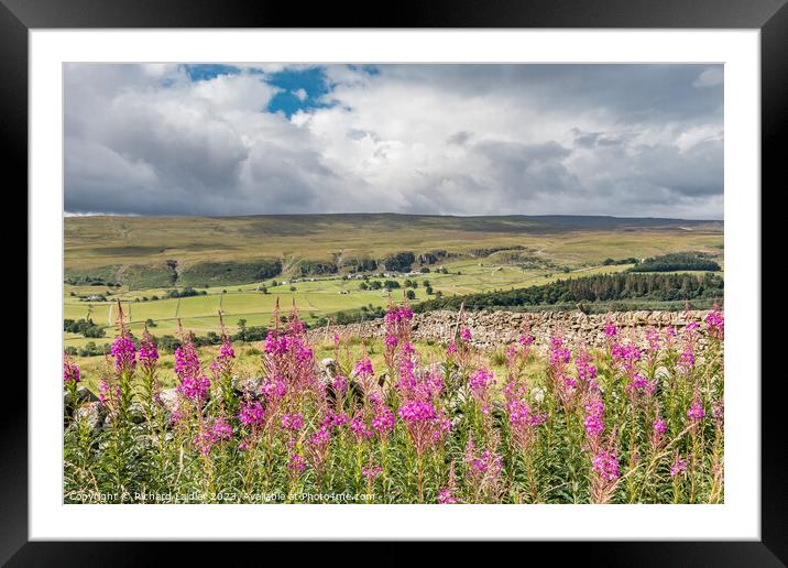 Across to Holwick from Stable Edge Framed Mounted Print by Richard Laidler
