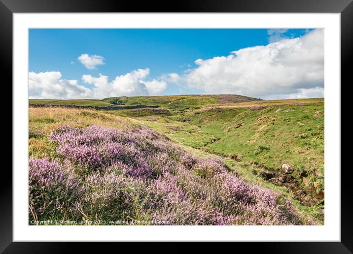 Flowering Heather on Barningham Moor (1) Framed Mounted Print by Richard Laidler