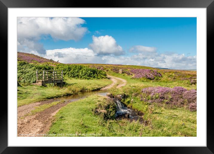 Summer Morning on Barningham Moor Framed Mounted Print by Richard Laidler