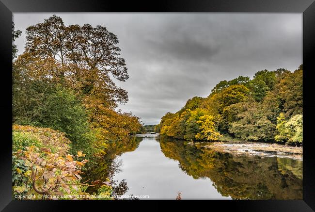 Autumn Reflections at Wycliffe, Teesdale Framed Print by Richard Laidler