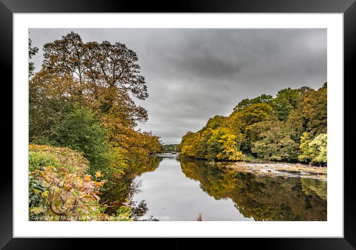 Autumn Reflections at Wycliffe, Teesdale Framed Mounted Print by Richard Laidler