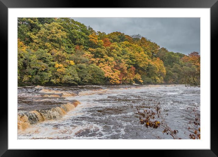 River Tees in Flood at Whorlton, Teesdale Framed Mounted Print by Richard Laidler