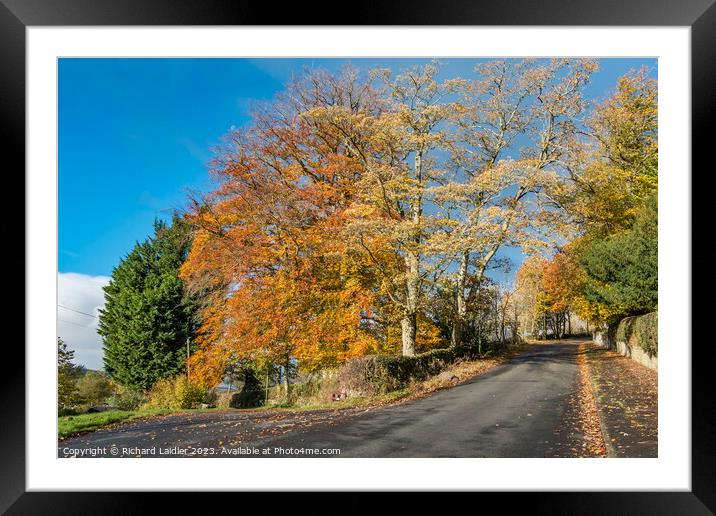 Autumn at Middleton in Teesdale Framed Mounted Print by Richard Laidler