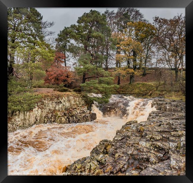 Another Flood at Low Force Waterfall, Teesdale Framed Print by Richard Laidler