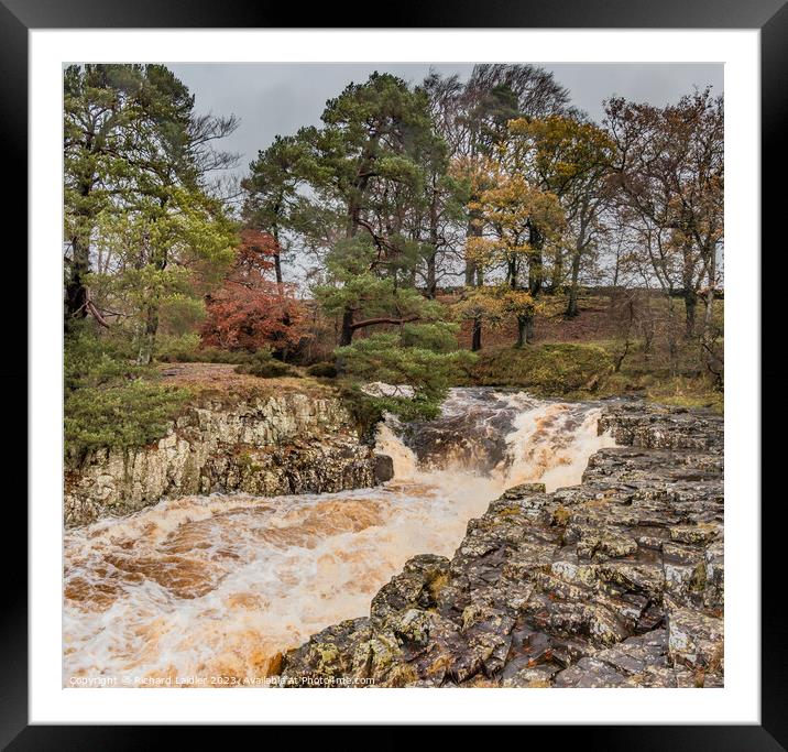 Another Flood at Low Force Waterfall, Teesdale Framed Mounted Print by Richard Laidler