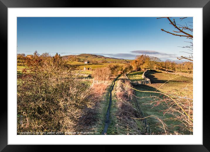 Winter Sun on the Tees Railway Walk at Mickleton Framed Mounted Print by Richard Laidler