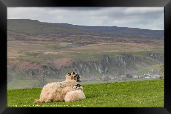 Gazin' on Holwick Framed Print by Richard Laidler