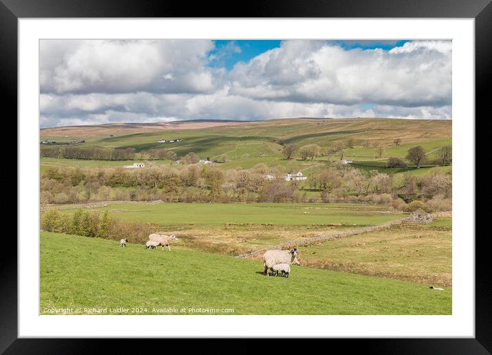 Ettersgill from Holwick, Teesdale Framed Mounted Print by Richard Laidler