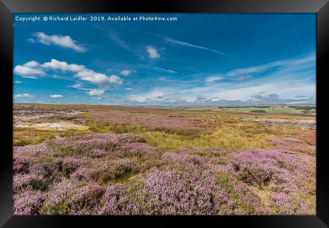Fowering Heather on Bowes Moor, Teesdale Framed Print by Richard Laidler