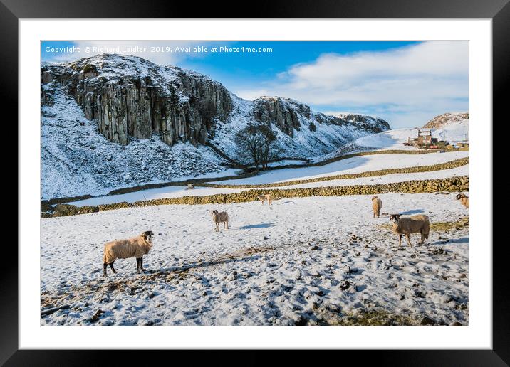 Winter at Holwick Scar, Upper Teesdale Framed Mounted Print by Richard Laidler