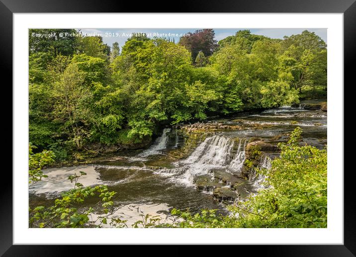 Aysgarth Middle Falls, Yorkshire Dales Framed Mounted Print by Richard Laidler