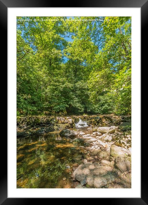 Tranquil Woodland Stream in Summer Framed Mounted Print by Richard Laidler