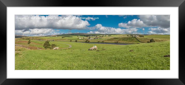 Forest in Teesdale Panorama Framed Mounted Print by Richard Laidler
