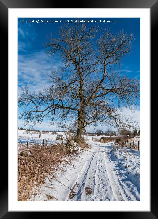 Snowy Lane and Ash Tree Silhouette Framed Mounted Print by Richard Laidler